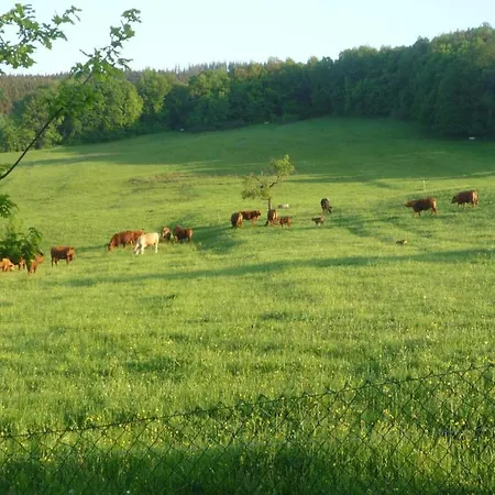 In Thuringia Near The Forest