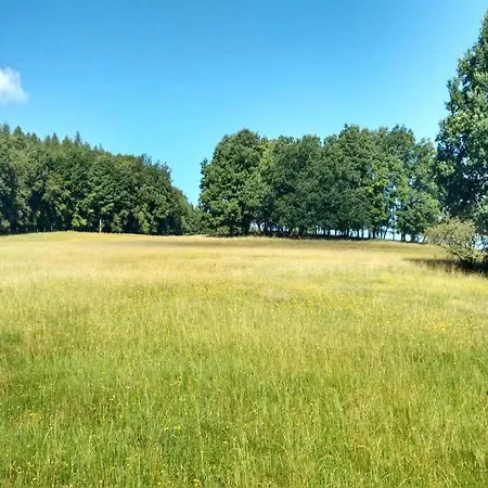 Feriehus In Thuringia Near The Forest *