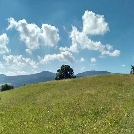 In Thueringen In Waldnaehe Dom wakacyjny Bad Tabarz