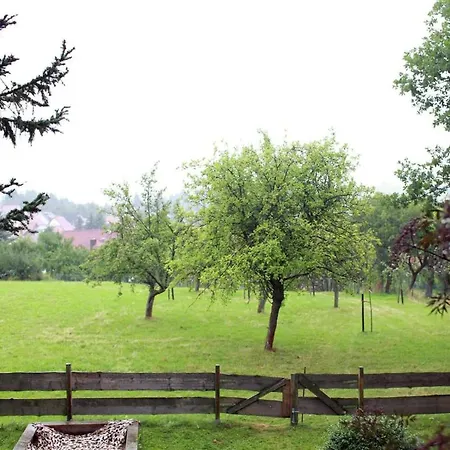 In Thueringen In Waldnaehe