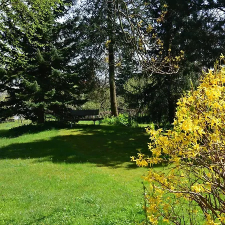 In Thueringen In Waldnaehe Bad Tabarz