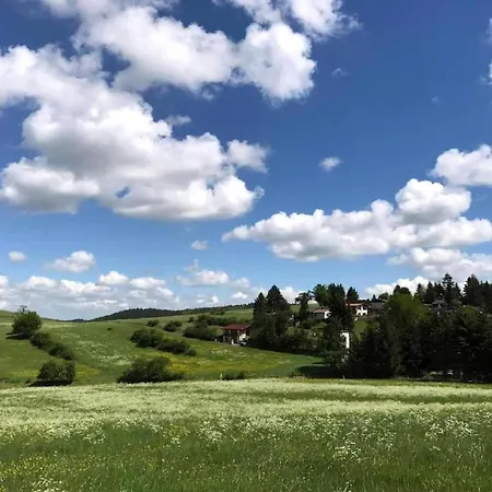 In Thueringen In Waldnaehe