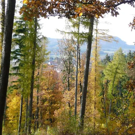 In Thueringen In Waldnaehe Сasa de vacaciones *