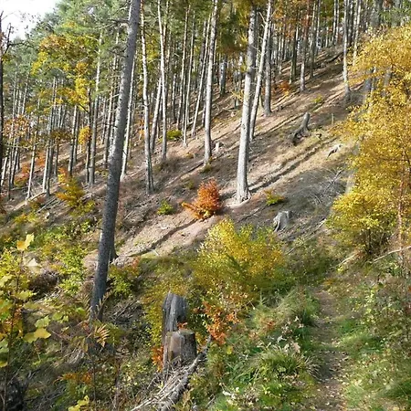 Сasa de vacaciones In Thueringen In Waldnaehe Tabarz