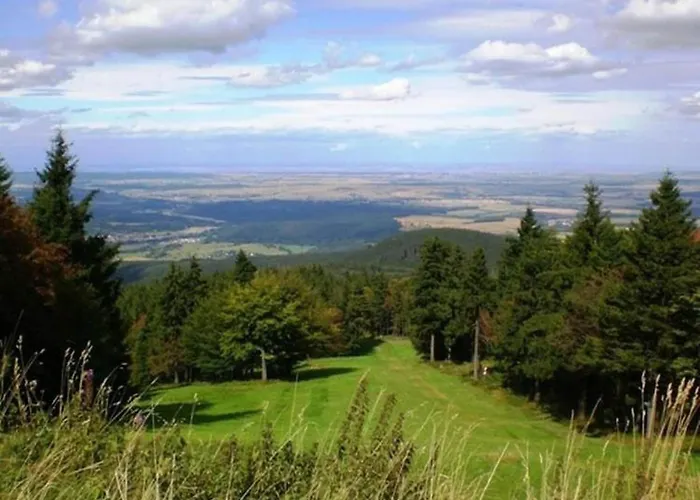 度假居 In Thueringen In Waldnaehe 塔巴尔茨