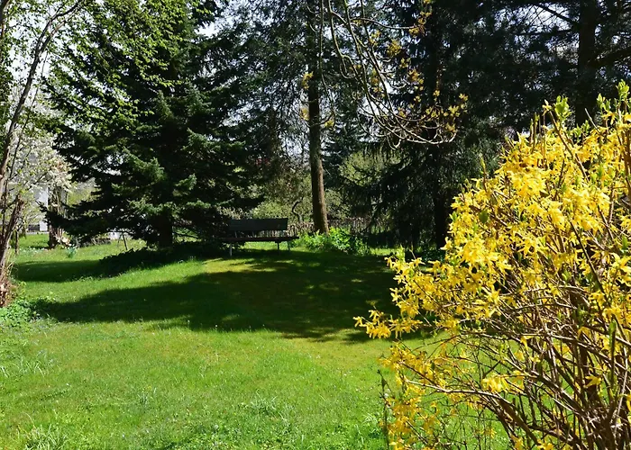 In Thueringen In Waldnaehe 塔巴尔茨