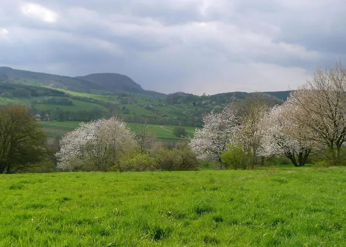 In Thueringen In Waldnaehe 塔巴尔茨