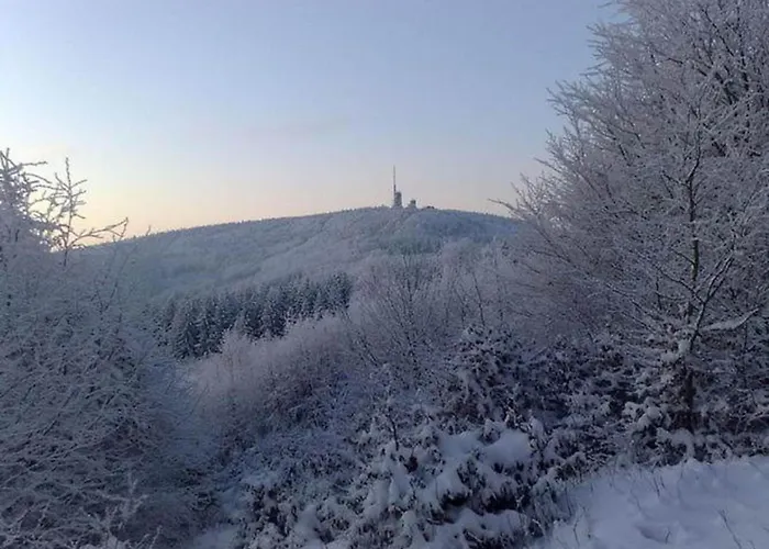 度假居 In Thueringen In Waldnaehe