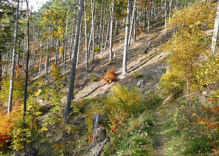 度假居 In Thueringen In Waldnaehe 塔巴尔茨