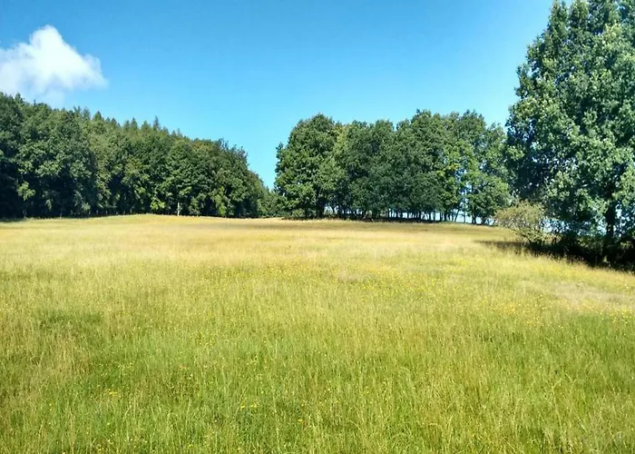 In Thueringen In Waldnaehe * 塔巴尔茨